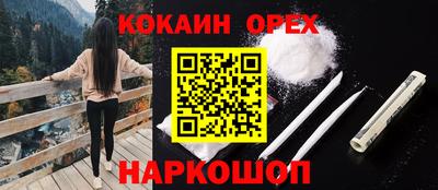 прущие грибы Будённовск