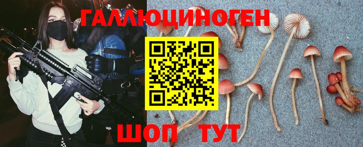 Галлюциногенные грибы мицелий Стрежевой