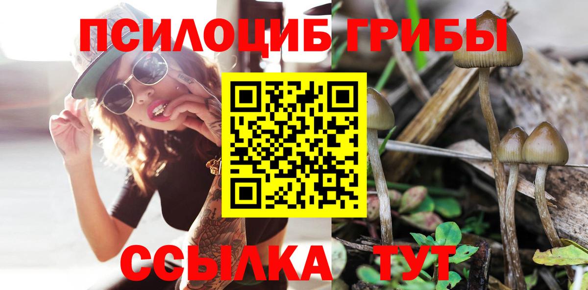 Галлюциногенные грибы прущие грибы  Вход с VPN  даркнет сайт  Стрежевой 